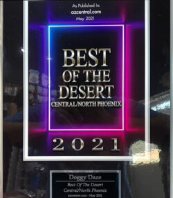 Doggy Daze 2021 Award for Best of the Desert Dog Grooming Salon